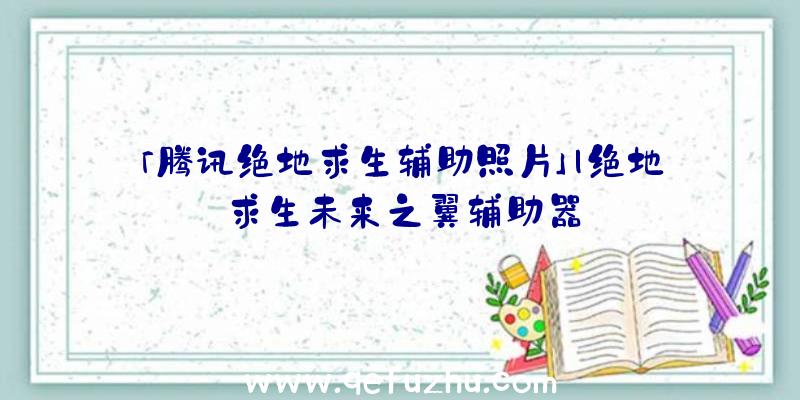 「腾讯绝地求生辅助照片」|绝地求生未来之翼辅助器